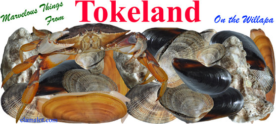 Sea food from Tokeland